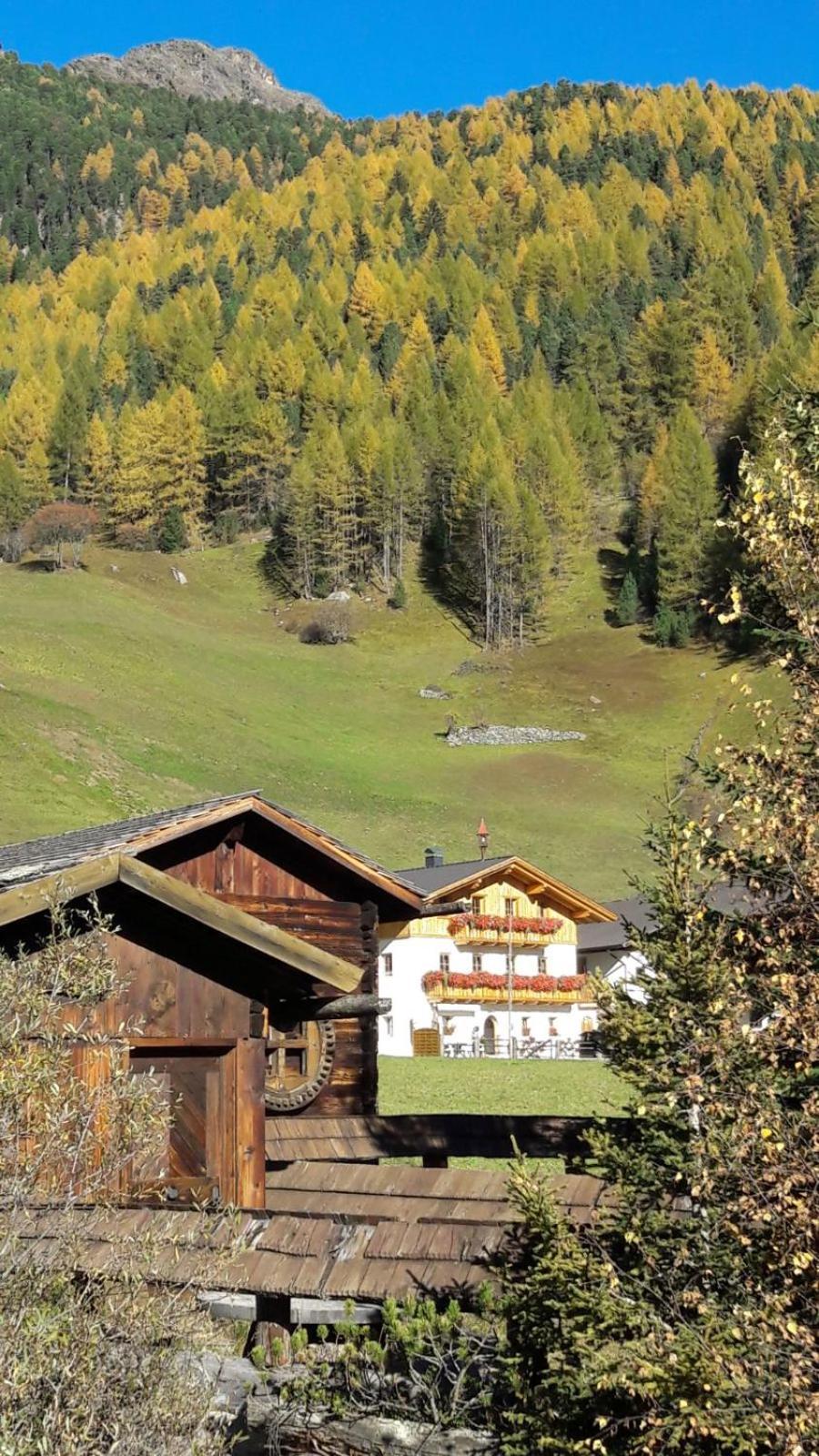 Mooserhof Кампо-Турес Экстерьер фото