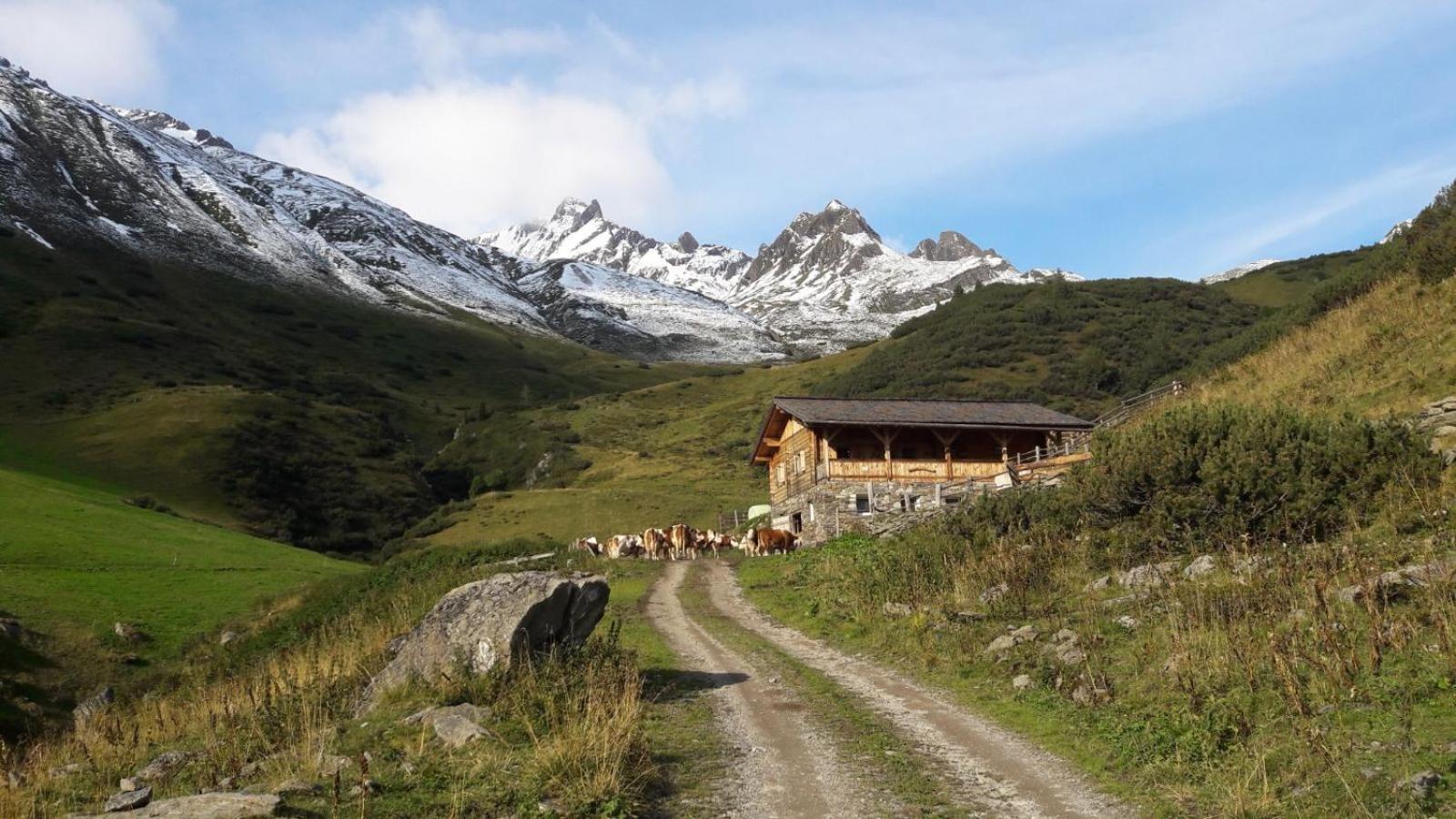 Mooserhof Кампо-Турес Экстерьер фото